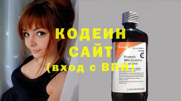шишки Беломорск
