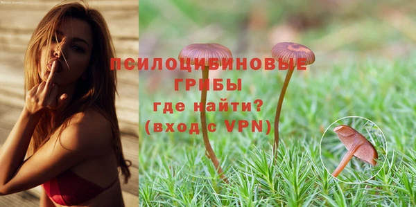 шишки Беломорск