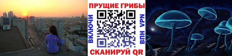 закладка  Надым  Псилоцибиновые грибы прущие грибы 